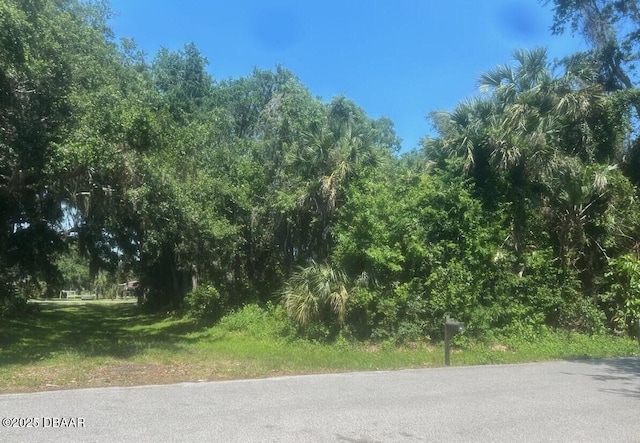 00 Orange Tree Dr, Edgewater, FL 32141