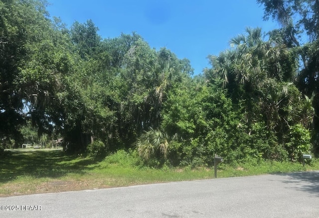 00 Orange Tree Dr, Edgewater, FL 32141