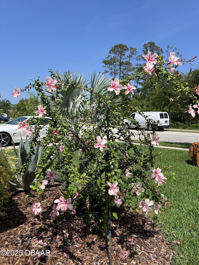 417 Grande Sunningdale Loop, Daytona Beach, FL 32124 - view of yard