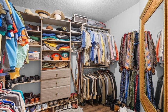 spacious closet with wood finished floors