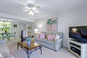 4175 S Atlantic Ave Unit 405, New Smyrna Beach, FL 32169 - living room with ceiling fan