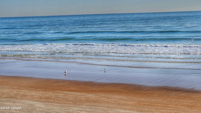 property view of water featuring a view of the beach