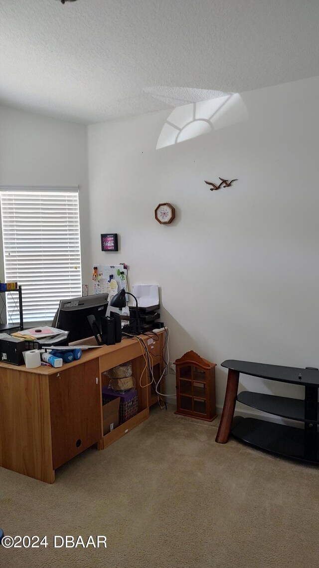 carpeted office space with a textured ceiling