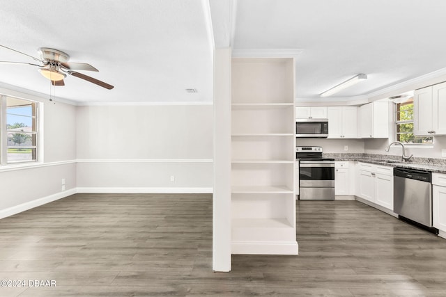 kitchen with white cabinetry, a wealth of natural light, and stainless steel appliances