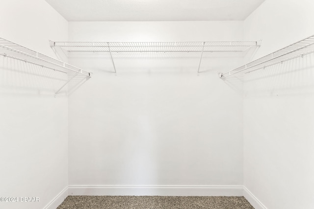 walk in closet featuring carpet