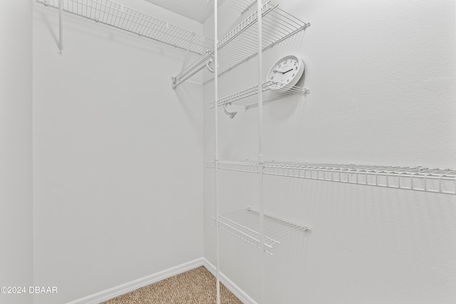3864 Long Grove Ln, Port Orange, FL 32129 - spacious closet featuring carpet floors