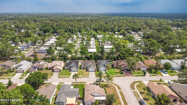 3864 Long Grove Ln, Port Orange, FL 32129 - bird's eye view