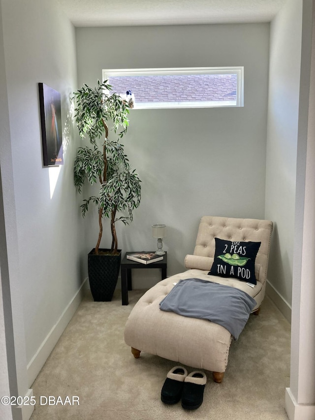 living area featuring carpet and baseboards