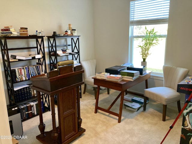 office space with light carpet