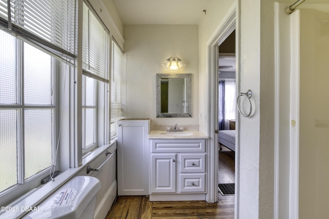 bathroom featuring vanity and wood finished floors