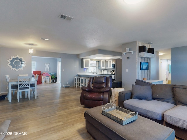 living room featuring light hardwood / wood-style floors and sink