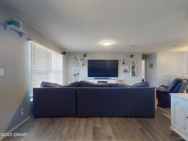 living room with dark hardwood / wood-style flooring