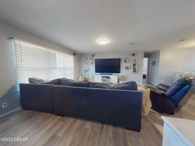 living room featuring wood-type flooring