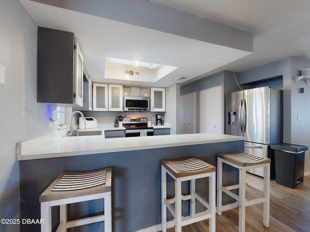 kitchen featuring appliances with stainless steel finishes, wood-type flooring, a skylight, sink, and kitchen peninsula