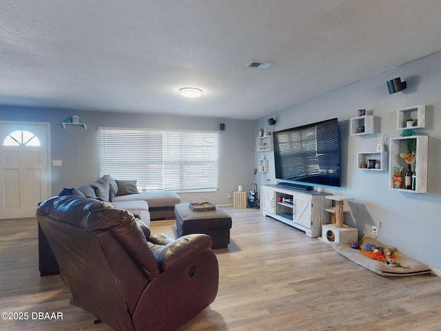 living room with light hardwood / wood-style floors