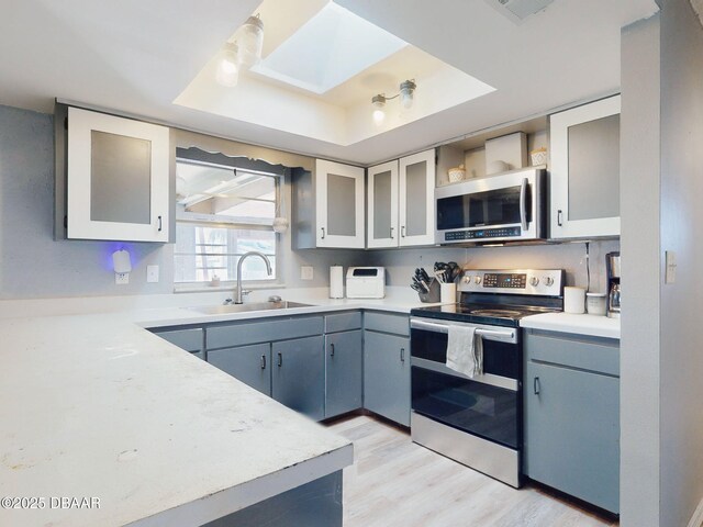 kitchen with a skylight, sink, a raised ceiling, light hardwood / wood-style flooring, and stainless steel appliances