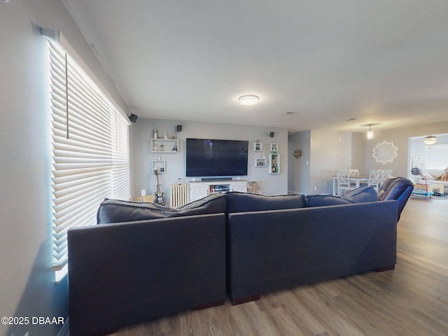 living room featuring wood-type flooring