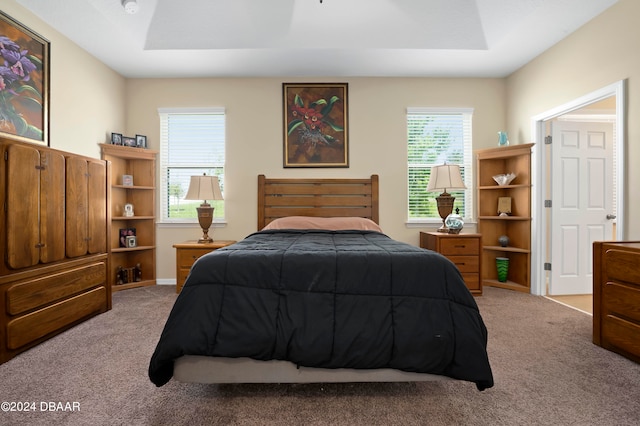 bedroom with multiple windows, light carpet, and a raised ceiling