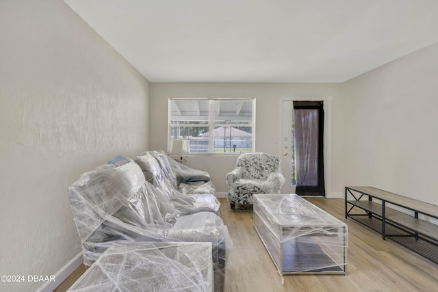 living room featuring light hardwood / wood-style floors