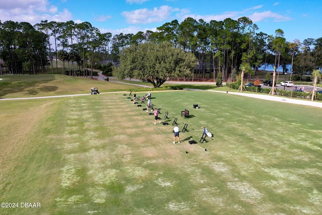 view of community featuring a yard