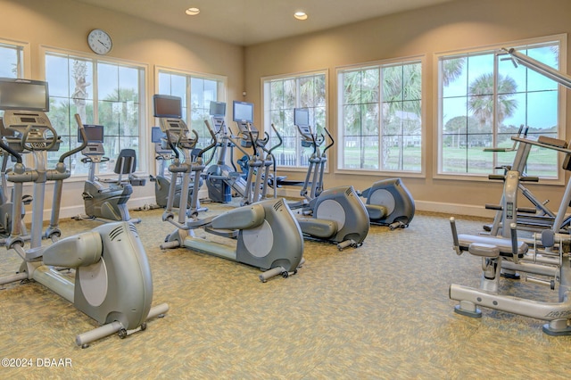 gym featuring carpet flooring and plenty of natural light