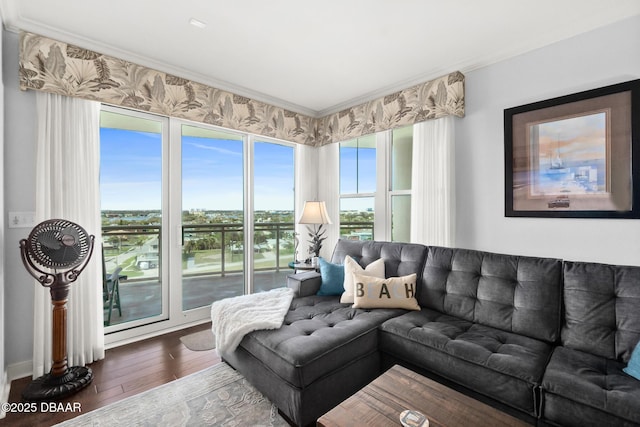 living room featuring crown molding and hardwood / wood-style flooring