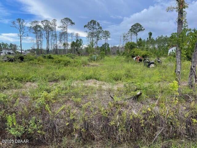 3738 Honeydew Ln, New Smyrna Beach, FL 32168