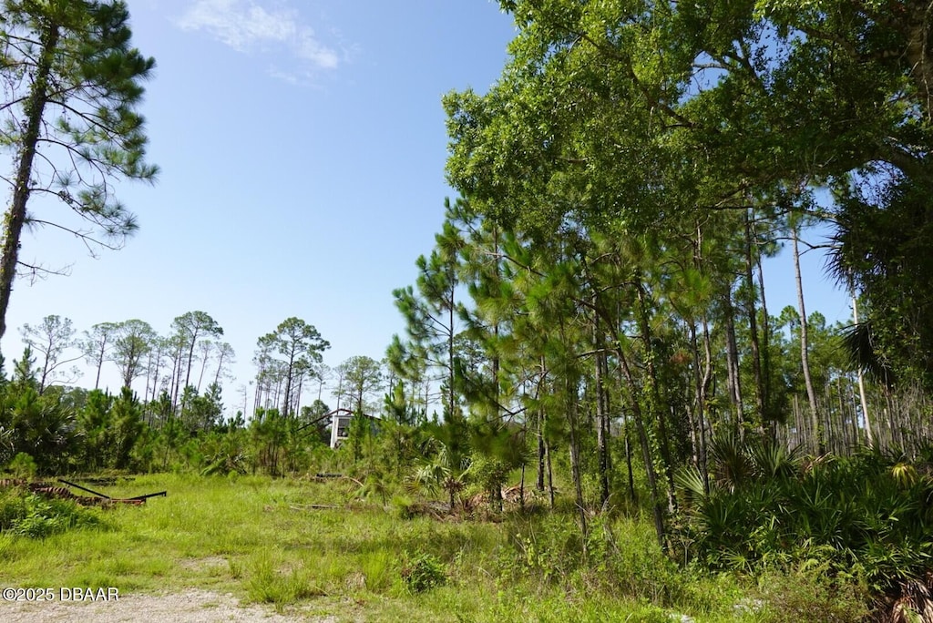3738 Honeydew Ln, New Smyrna Beach, FL 32168