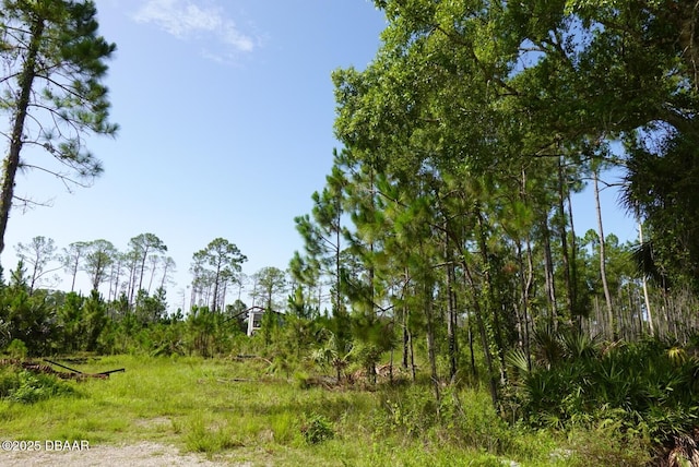 3738 Honeydew Ln, New Smyrna Beach, FL 32168
