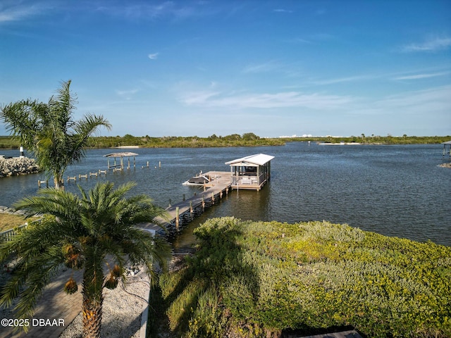 1601 S Riverside Dr, Edgewater, FL 32132 - dock area with a water view and boat lift