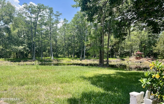 11 Winchester Rd, Ormond Beach, FL 32174 - view of yard