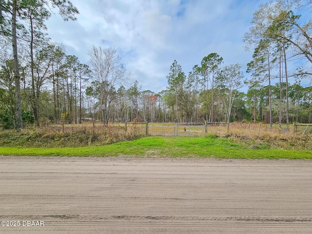 1718 Papaya St, Bunnell FL, 32110 land for sale