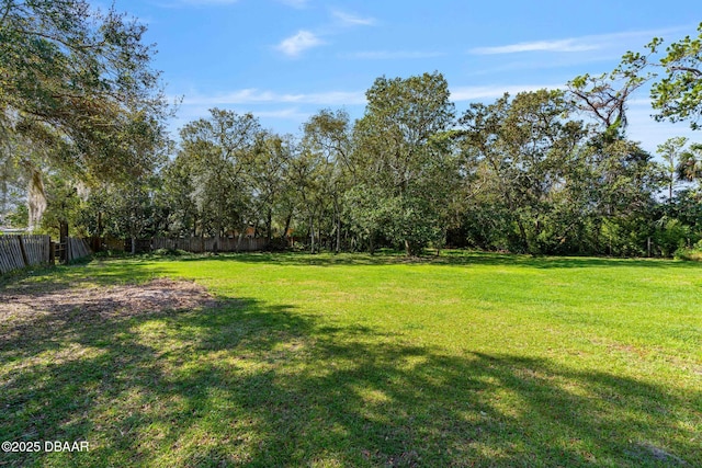 2910 Hardy Ave, New Smyrna Beach, FL 32168 - photo 35