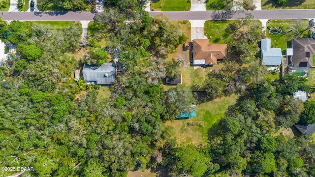 2910 Hardy Ave, New Smyrna Beach, FL 32168 - photo 7