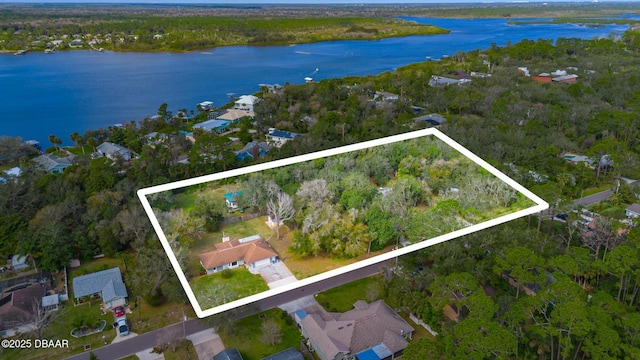 2910 Hardy Ave, New Smyrna Beach, FL 32168 - photo 6