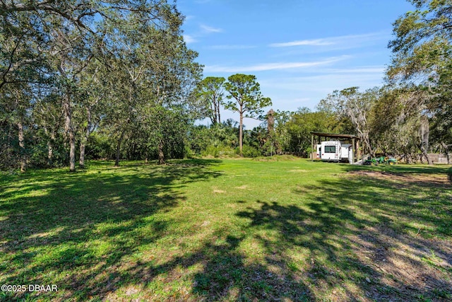 2910 Hardy Ave, New Smyrna Beach, FL 32168 - photo 32