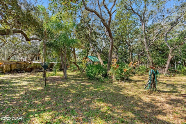 2910 Hardy Ave, New Smyrna Beach, FL 32168 - photo 61