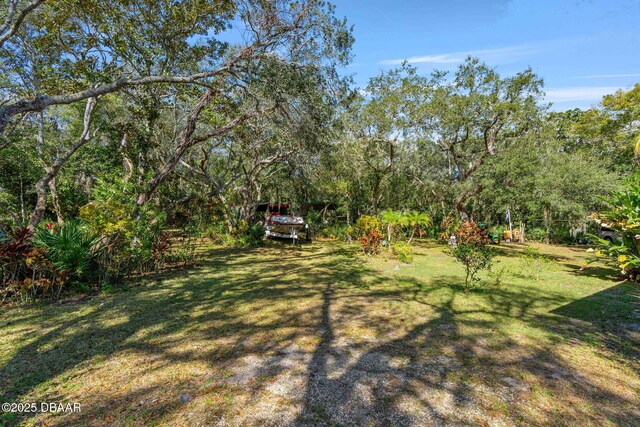 2910 Hardy Ave, New Smyrna Beach, FL 32168 - photo 38