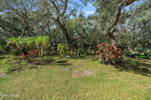 2910 Hardy Ave, New Smyrna Beach, FL 32168 - photo 57