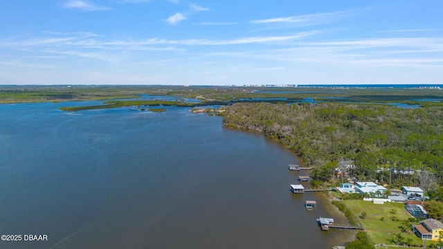 2910 Hardy Ave, New Smyrna Beach, FL 32168 - photo 13