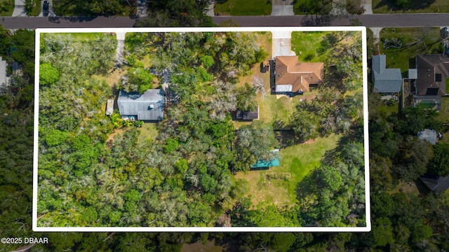 2910 Hardy Ave, New Smyrna Beach, FL 32168 - photo 8