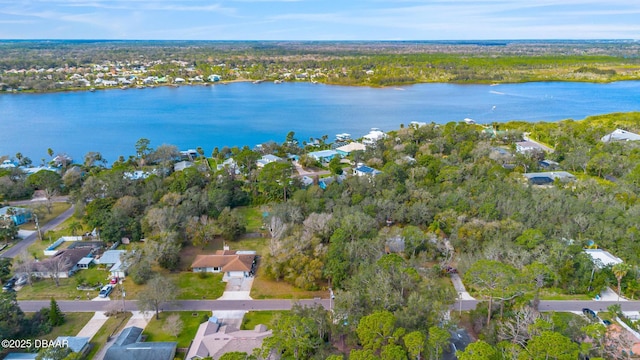 2910 Hardy Ave, New Smyrna Beach, FL 32168 - photo 4