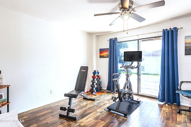 exercise room featuring wood-type flooring and ceiling fan