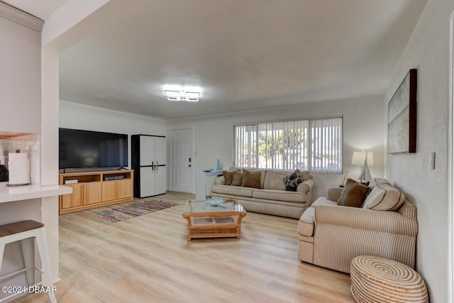 living room featuring light hardwood / wood-style floors