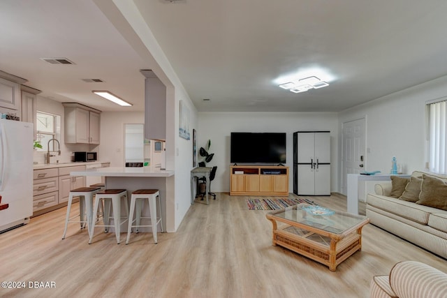 living room featuring sink and light hardwood / wood-style flooring