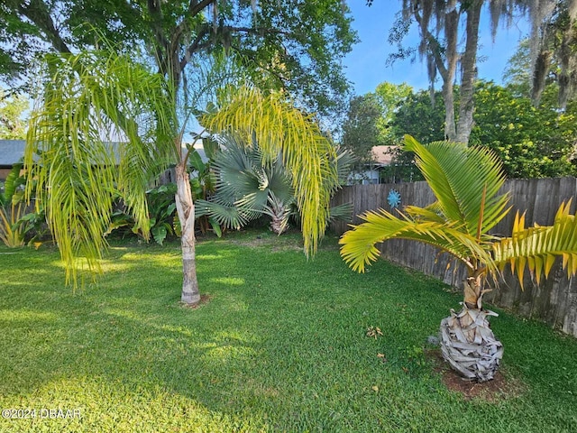 view of yard featuring a fenced backyard