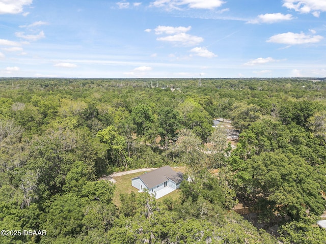 5620 Ridgewood Ave, Deleon Springs, FL 32130 - birds eye view of property featuring a wooded view