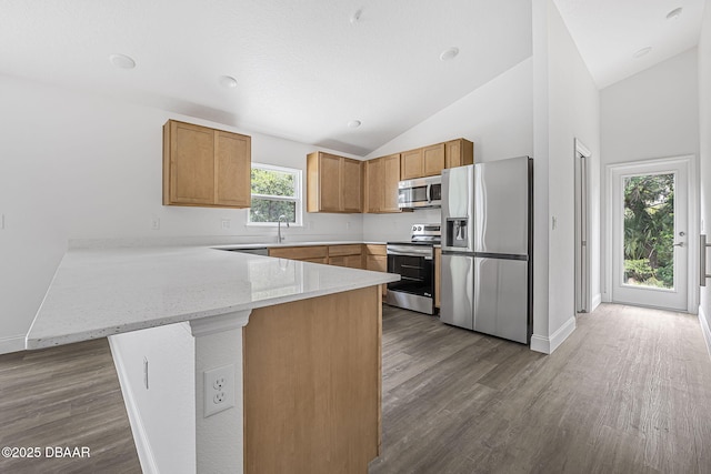 5620 Ridgewood Ave, Deleon Springs, FL 32130 - kitchen with dark wood-style flooring, a peninsula, appliances with stainless steel finishes, and vaulted ceiling
