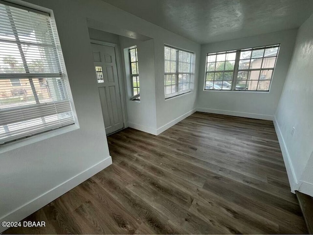 interior space featuring dark wood-type flooring and a wealth of natural light