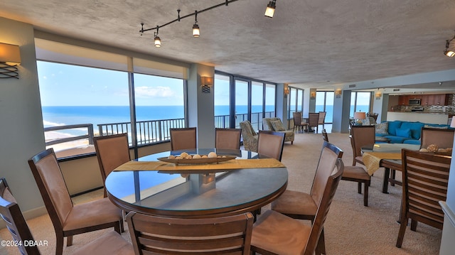 dining room featuring a textured ceiling, a water view, and light carpet